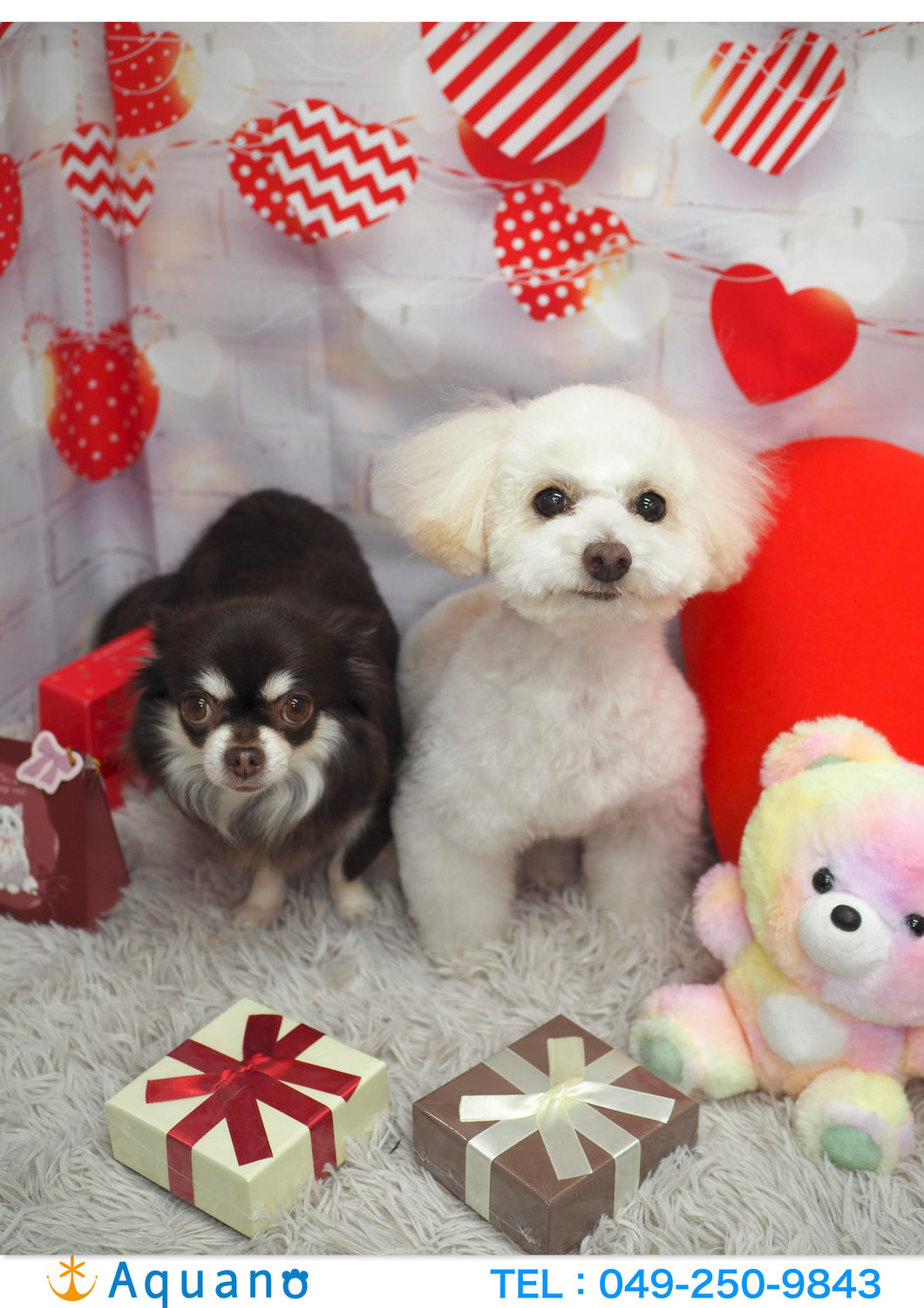 久しぶりのセミナー参加と、次回予約についての大切なお知らせ