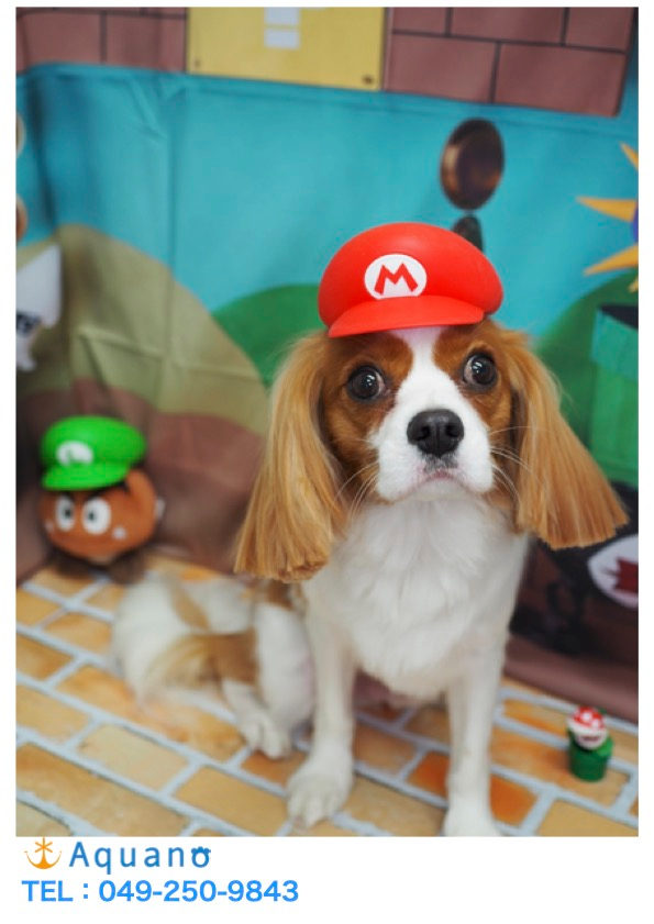 あっという間に