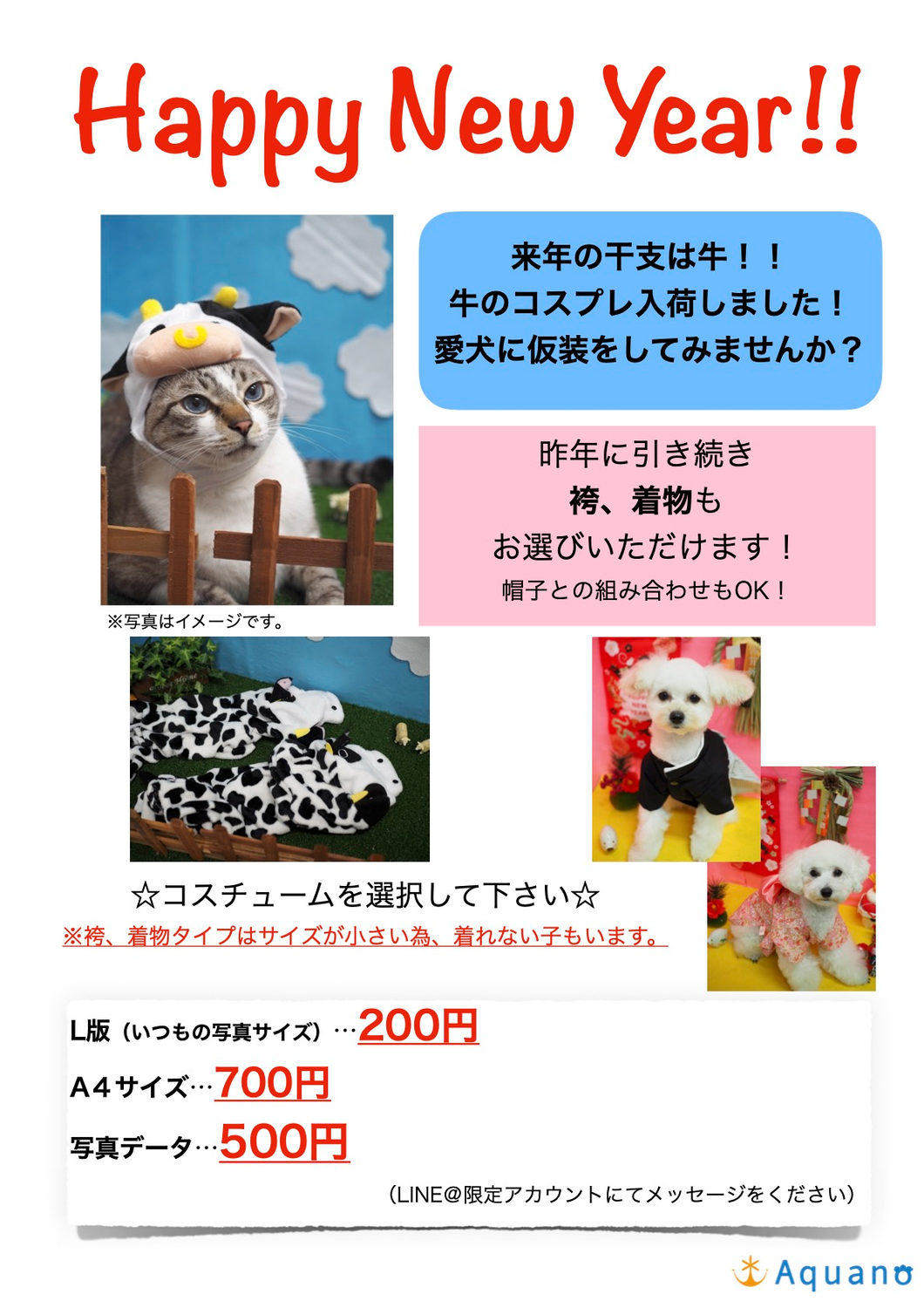 年賀状にもいかがですか?