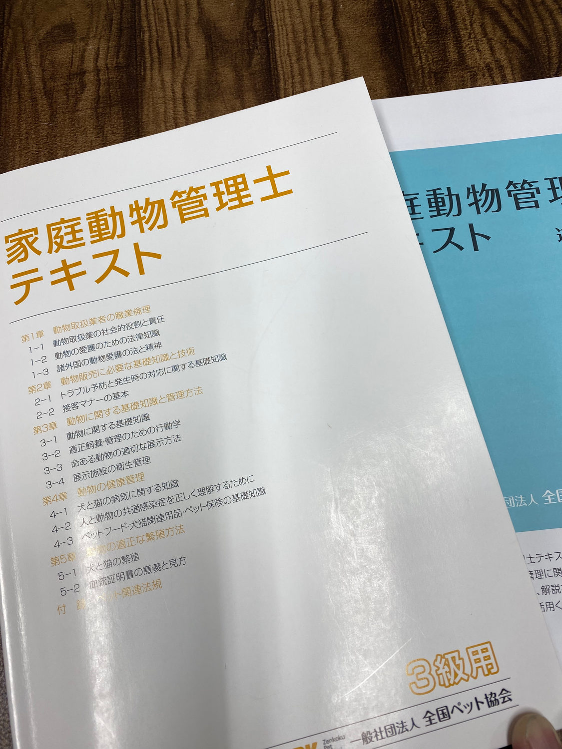 資格試験!