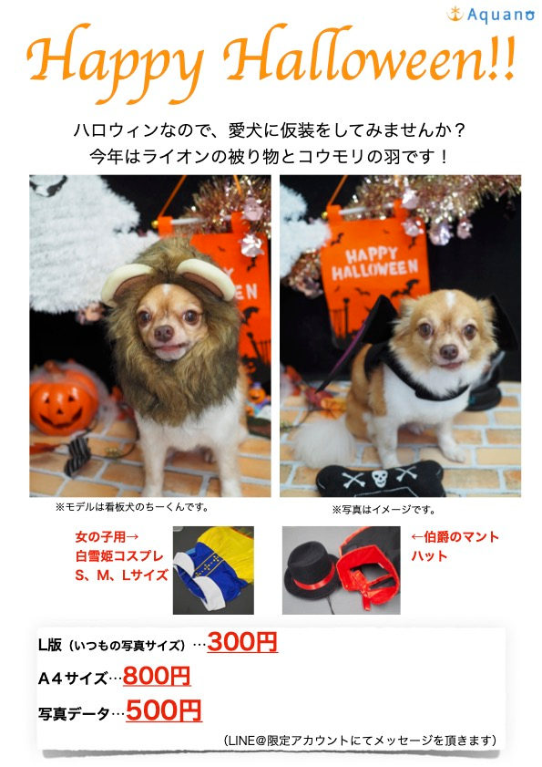 ハロウィンです!