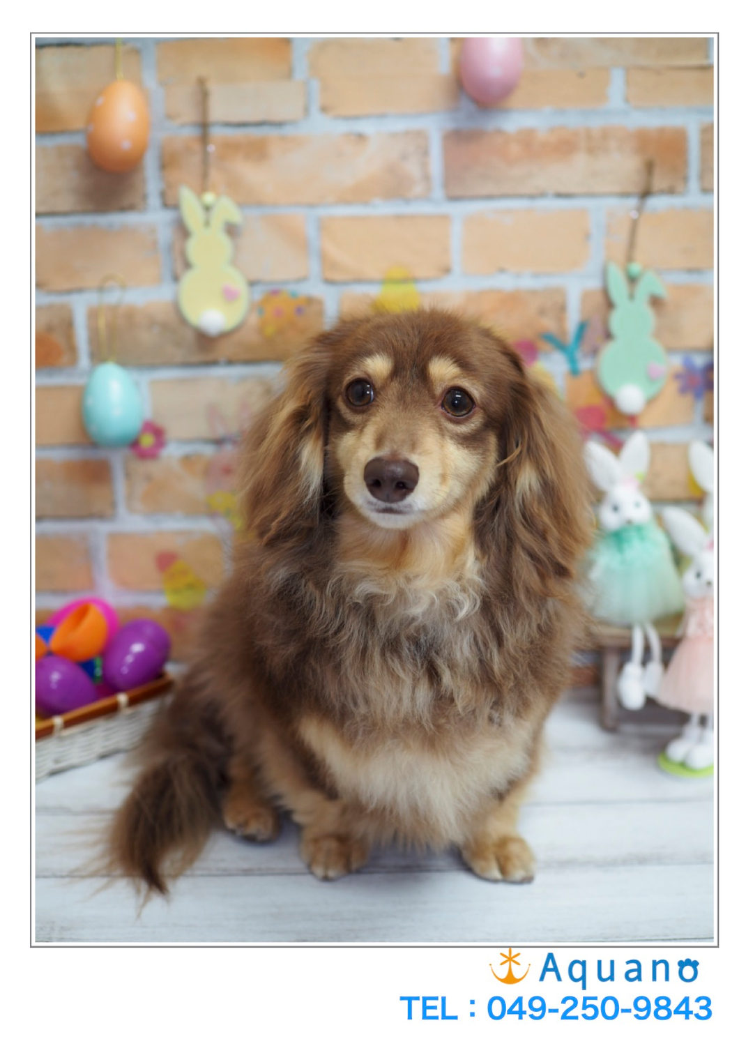 この状況は…