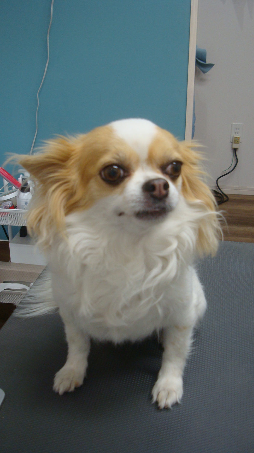明日から