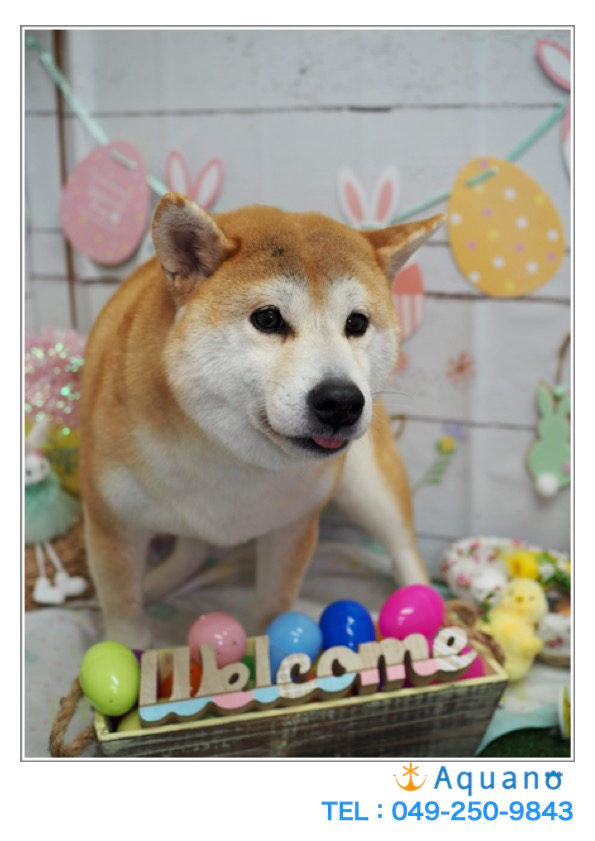 今年はキツイ?