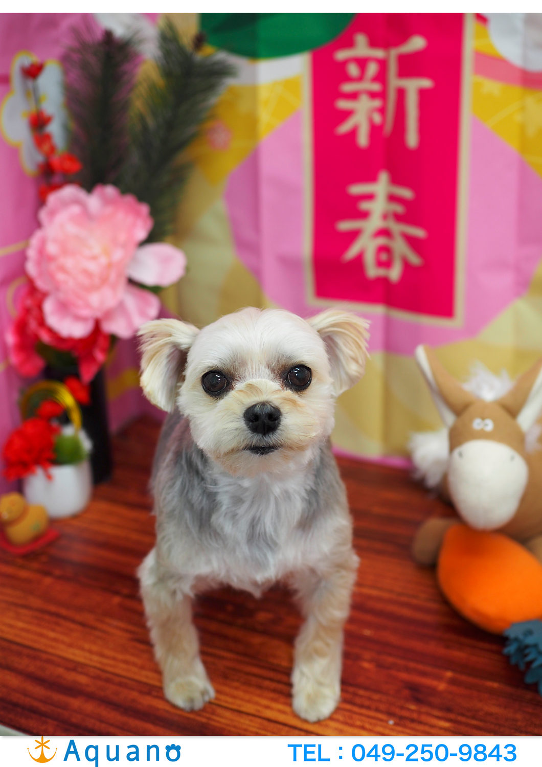 ✨一年間ありがとうございました✨