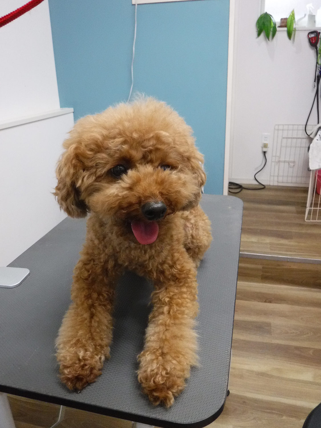 セミナー