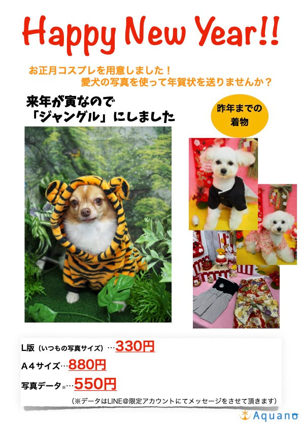 迷ってる?いえ、迷ってません!