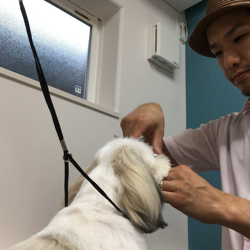 中澤 和宏